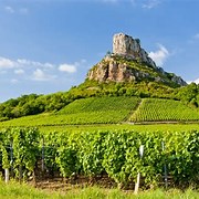 The Burgundy wine region