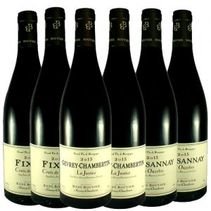 René Bouvier - Bourgogne Côtes de Nuits - mix