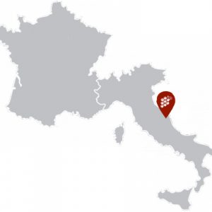 Marche