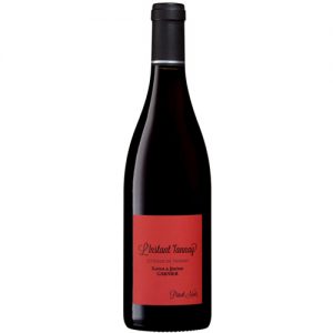 Domaine Garnier & fils - Instant Tannay - Pinot noir